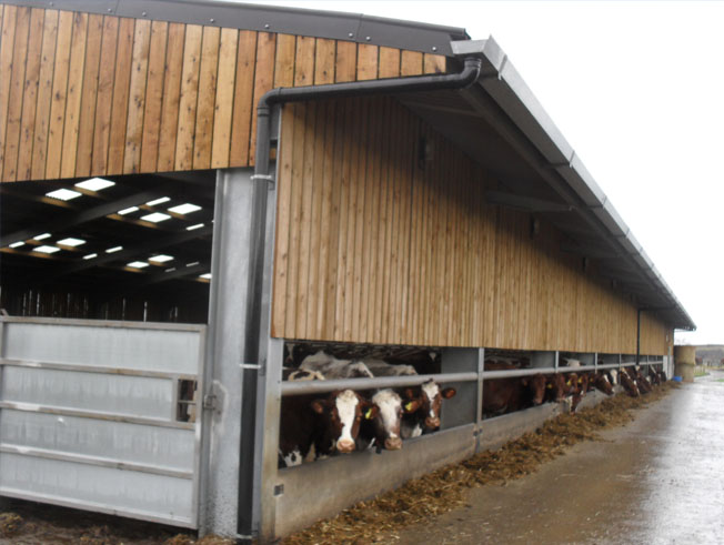 agricultural steel building