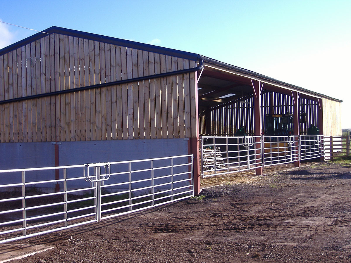 steel building gallery photo