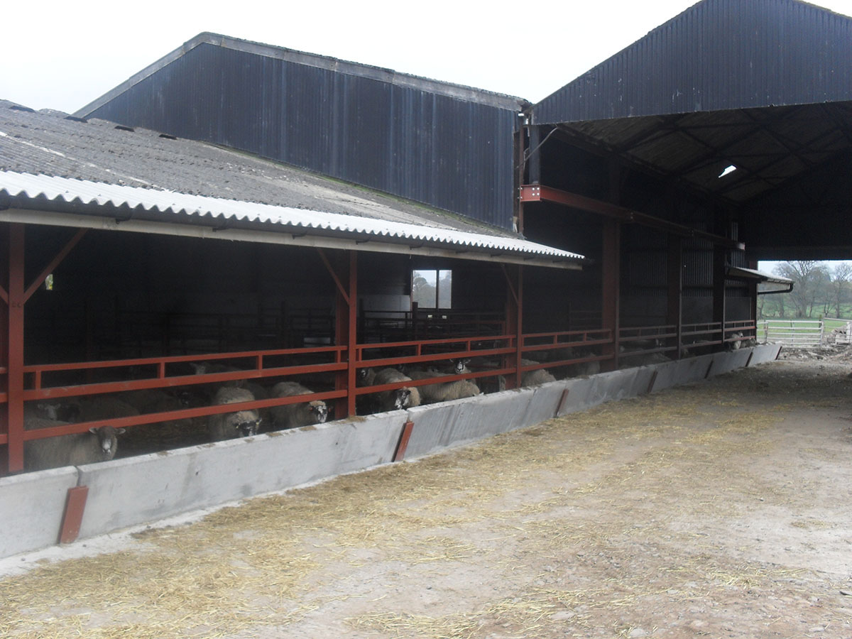 steel building gallery photo