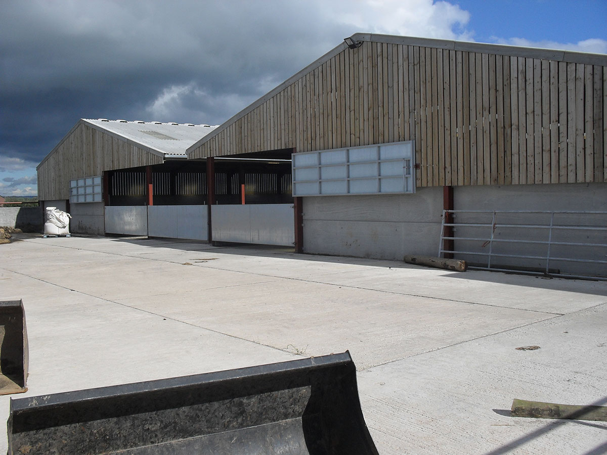 steel building gallery photo