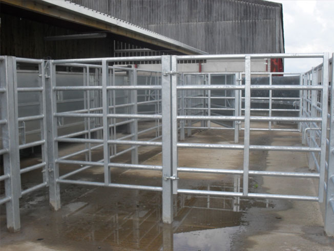 livestock handling fabrications