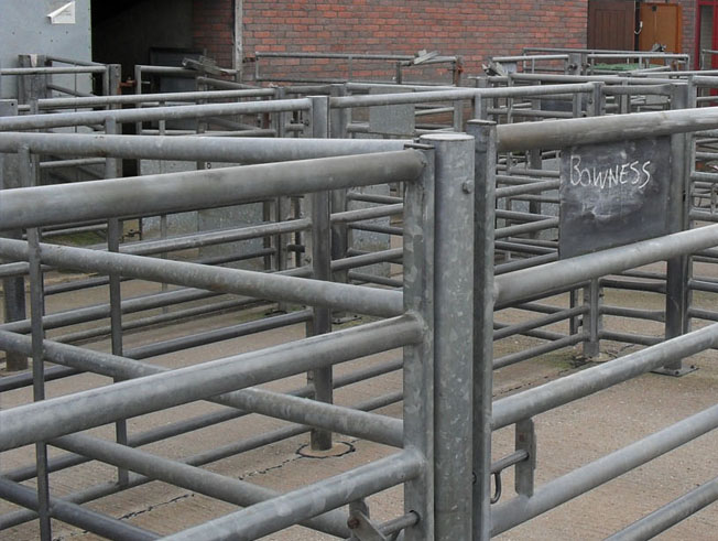 livestock handling fabrications